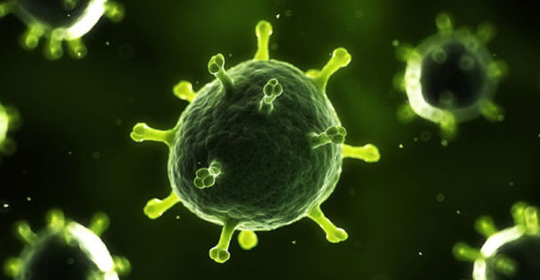 corona-virus
