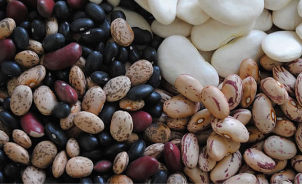 Yorgunluğa İyi Gelen Yiyecekler