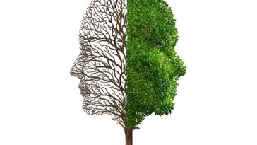 Sabit Zihniyet Nedir? Değiştirilebilir mi?