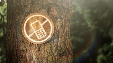 Dijital Detoks Nedir Nasıl Yapılır